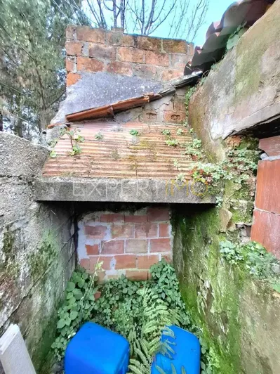 Image No.2-Ferme de 2 chambres à vendre à Pombal