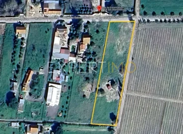 1 - Montijo, Terre