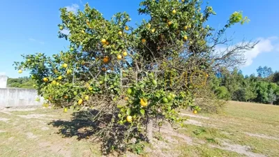 sc392l3167-8