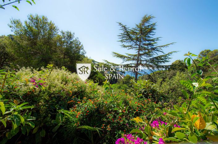 Image No.38-8 Bed Villa for sale