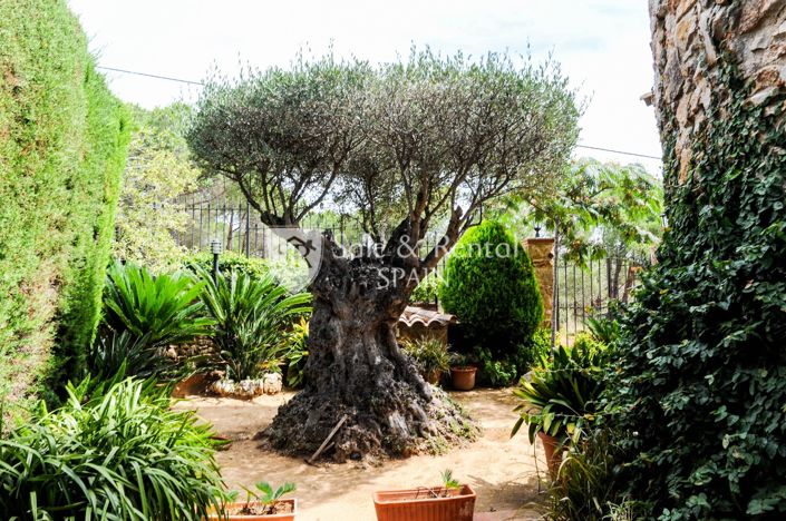 Image No.38-Villa de 4 chambres à vendre à Blanes