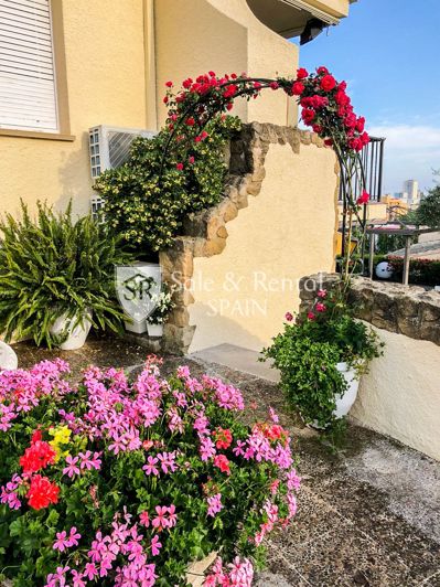 Image No.55-6 Bed Villa for sale