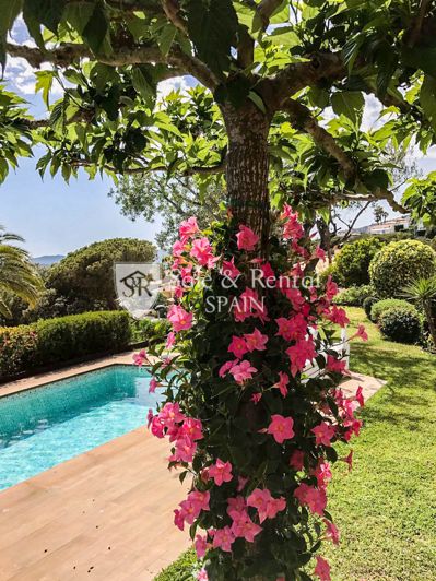 Image No.83-6 Bed Villa for sale