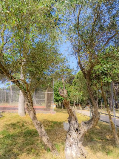 Image No.38-Villa de 5 chambres à vendre à Caldes de Malavella