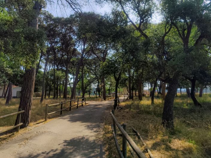 Image No.40-Villa de 5 chambres à vendre à Caldes de Malavella