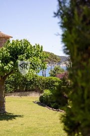 Sale And Rental Spain most sold property