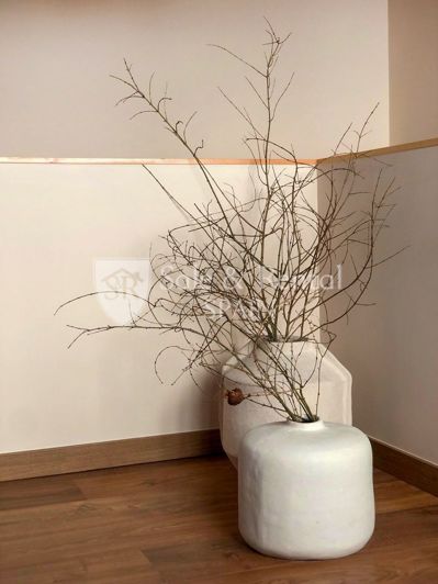 Image No.17-Villa de 9 chambres à vendre à Santa Cristina d'Aro