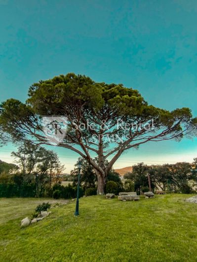 Image No.44-Villa de 9 chambres à vendre à Santa Cristina d'Aro