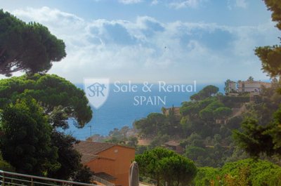 Sale And Rental Spain most sold property