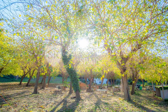 Image No.26-Villa de 4 chambres à vendre à Sant Pol de Mar