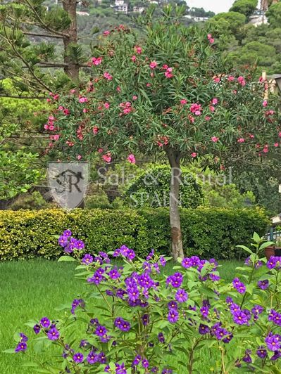 Image No.28-4 Bed Villa for sale