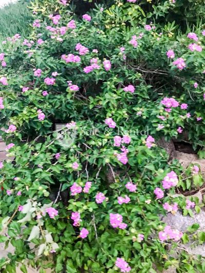 Image No.30-4 Bed Villa for sale