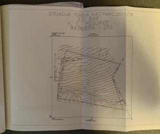 363393330_2534970596677311_1117681948393403336_n