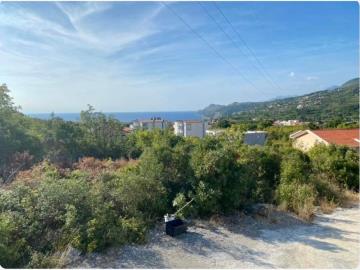 WhatsApp-Image-2026-02-06-at-15-22-09--5-