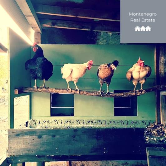 Image No.17-Maison / Villa de 4 chambres à vendre à Rijeka Crnojevica