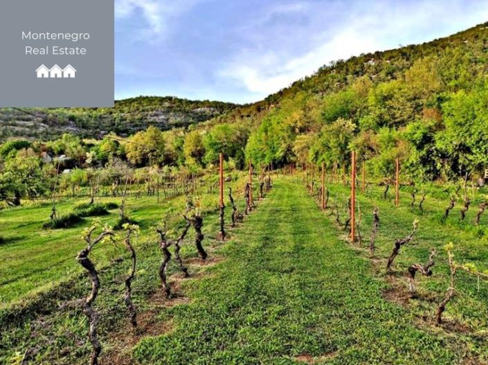 Image No.20-Maison / Villa de 4 chambres à vendre à Rijeka Crnojevica