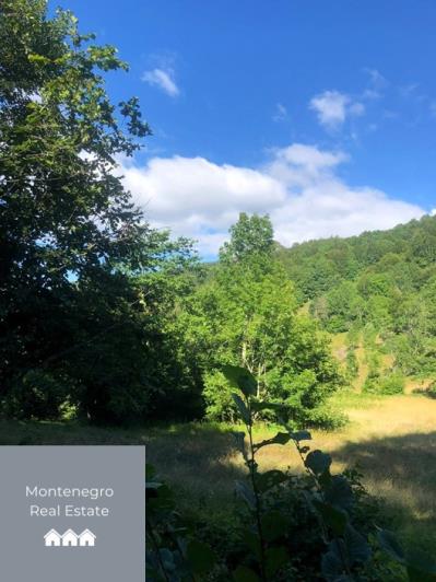 Image No.6-Terre à vendre à Mojkovac