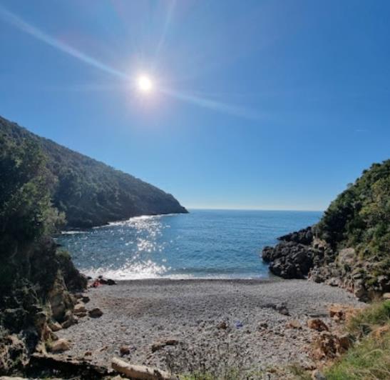 Image No.13-Chalet à vendre à Kotor