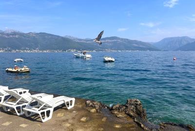 IMG_3660
