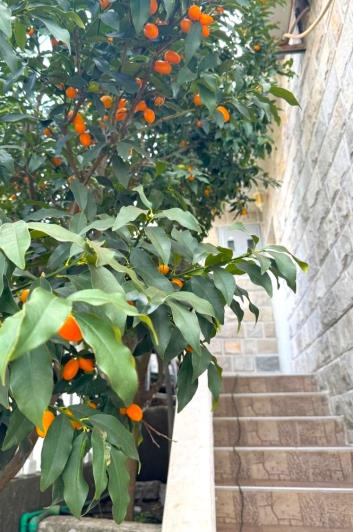 Image No.9-Jumelé de 3 chambres à vendre à Tivat