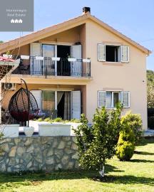 House_from_garden_3