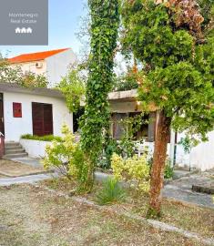 Garden_2