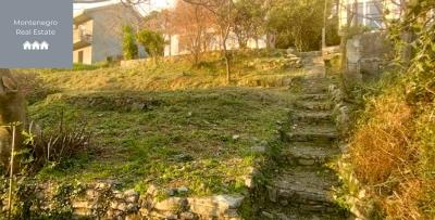 Garden_3