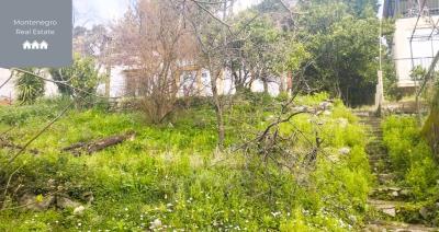 Garden_4