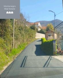 Road
