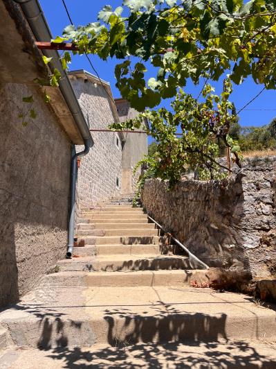 Image No.21-9 Bed House for sale