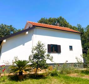 Montenegro Real Estate most sold property