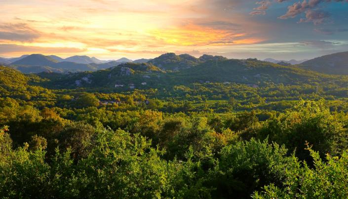 Image No.2-3 Bed Vineyard for sale