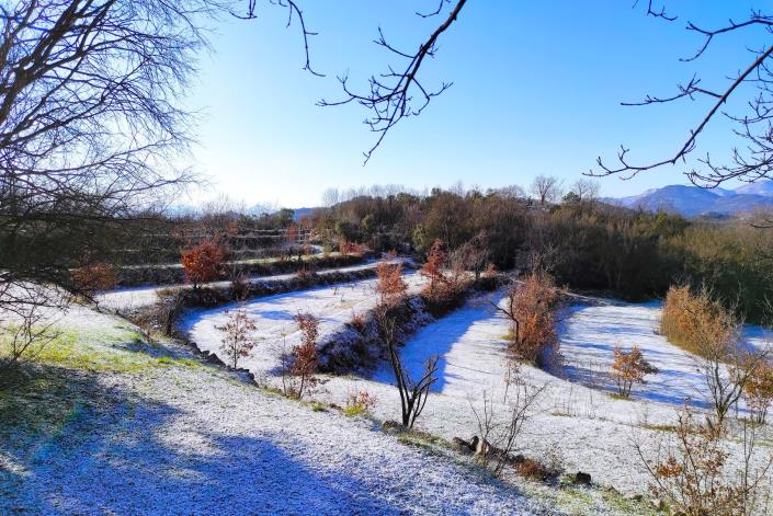 Image No.36-3 Bed Vineyard for sale
