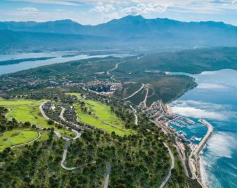 Screenshot-2026-03-07-124119