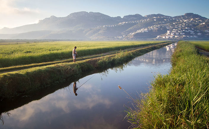 Image No.8-Plot for sale