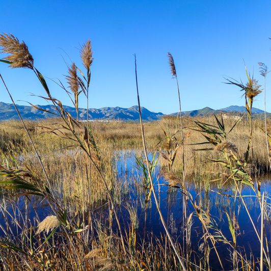 Image No.7-Plot for sale