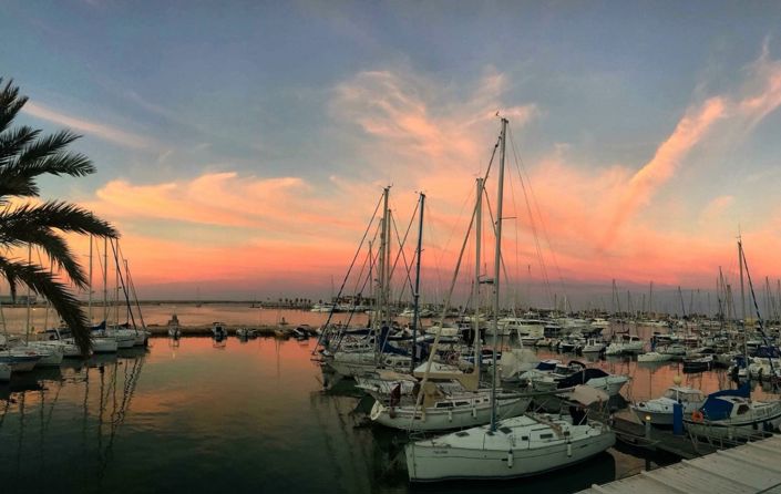 Image No.46-Villa de 6 chambres à vendre à Pedreguer