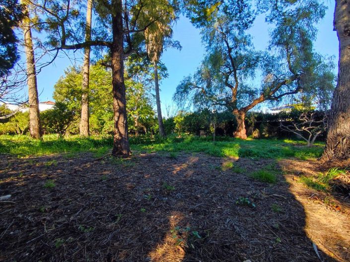 Image No.23-Villa de 4 chambres à vendre à Els Poblets