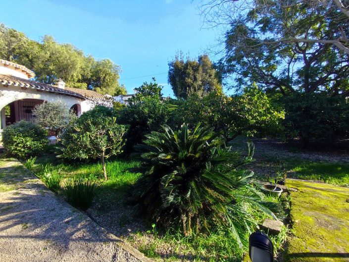 Image No.38-Villa de 4 chambres à vendre à Els Poblets