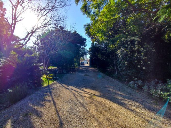 Image No.6-Villa de 4 chambres à vendre à Els Poblets