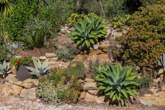 Image No.49-4 Bed Finca for sale