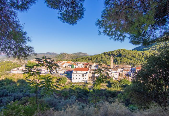 Image No.44-Villa de 4 chambres à vendre à Alicante