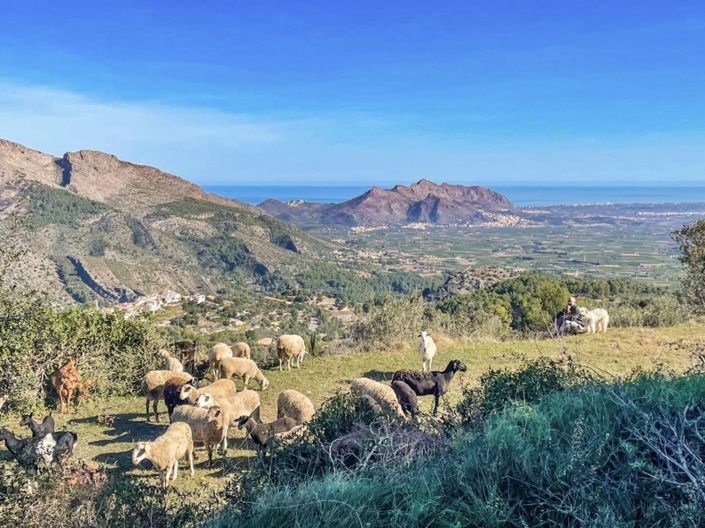 Image No.33-Appartement de 3 chambres à vendre à Orba