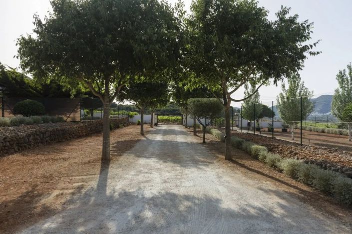 Image No.45-12 Bed Villa for sale