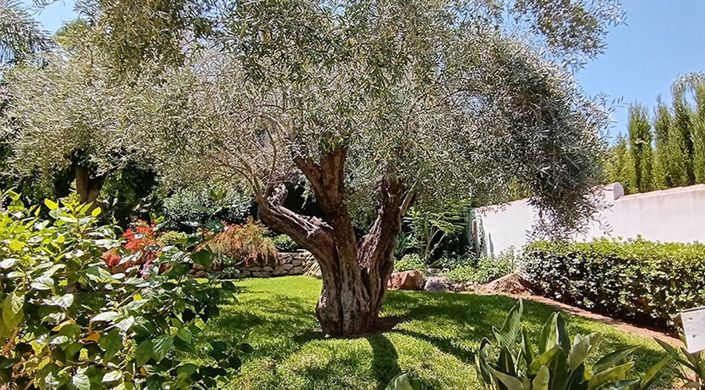 Image No.37-Villa de 5 chambres à vendre à Pedreguer