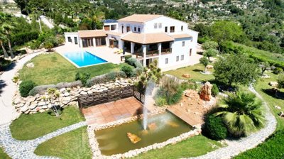 dji0011dronretocada1