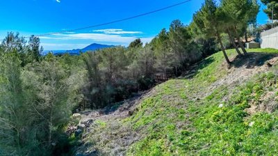 pano0014