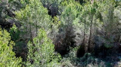 pano0004