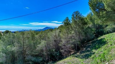 pano0014