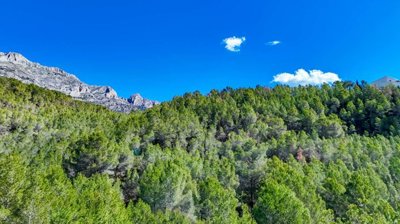 pano0012